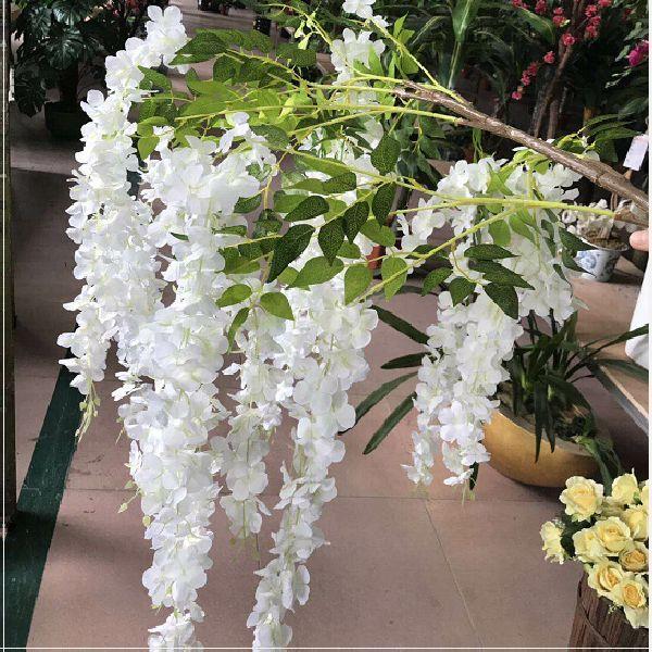 white wisteria branches white wisteria branches