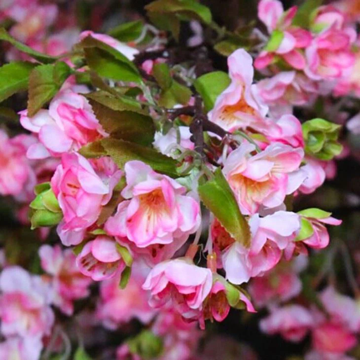 Event Decor Fake Cherry Blossom Bloom Tree
